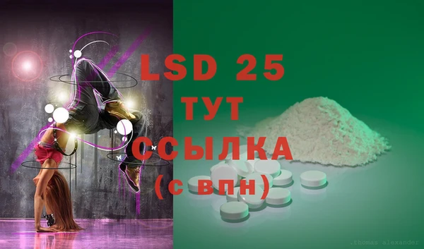 ГАЛЛЮЦИНОГЕННЫЕ ГРИБЫ Белоозёрский