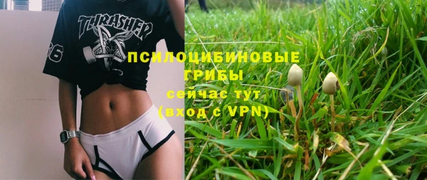 амфетамин Белокуриха