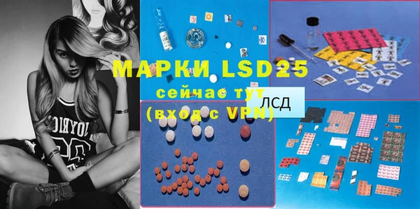 ГАЛЛЮЦИНОГЕННЫЕ ГРИБЫ Белоозёрский