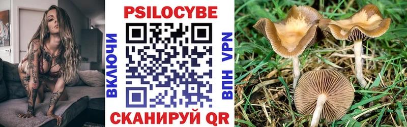 Псилоцибиновые грибы ЛСД  Верхняя Тура 